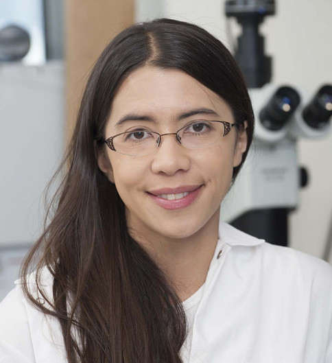 Elizabeth V. Wasmuth, Ph.D.
